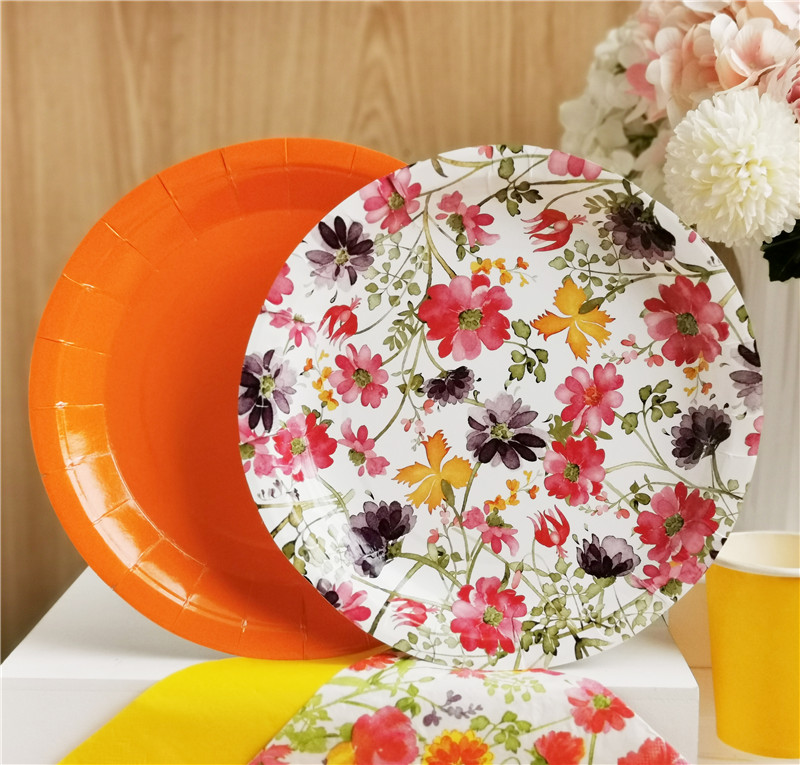 Paper Dinner Plate Wild Daisy in Autumn Day